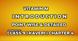 Vitamin M Introduction edumantra.net