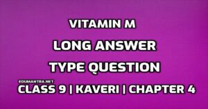 Vitamin M Long Answer Type Question