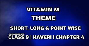 Vitamin M Theme edumantra.net